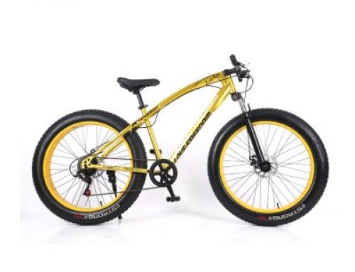 Beautiful color fat tire mountain bike