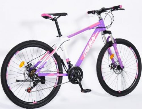 Hot sale purple mountain bike