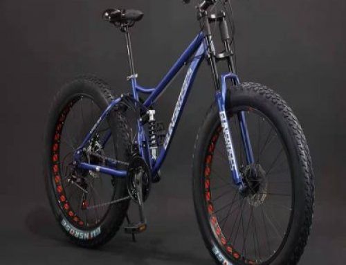 Hot selling acrobatic fat tire bike